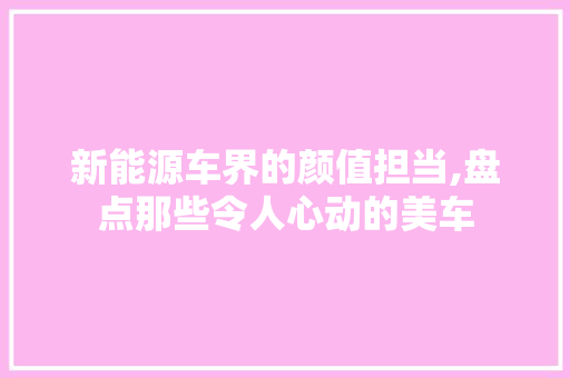 新能源车界的颜值担当,盘点那些令人心动的美车