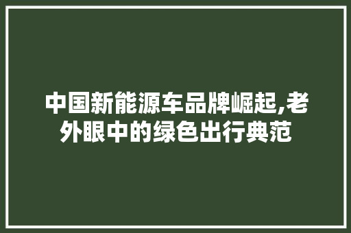 中国新能源车品牌崛起,老外眼中的绿色出行典范