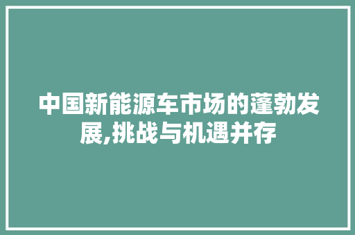 中国新能源车市场的蓬勃发展,挑战与机遇并存 车载导航