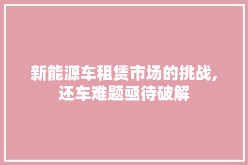 新能源车租赁市场的挑战,还车难题亟待破解