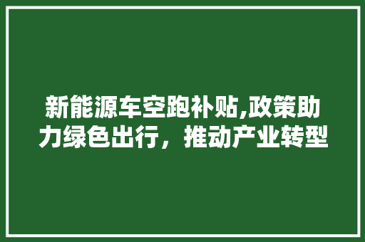 新能源车空跑补贴,政策助力绿色出行，推动产业转型升级 汽车轮胎