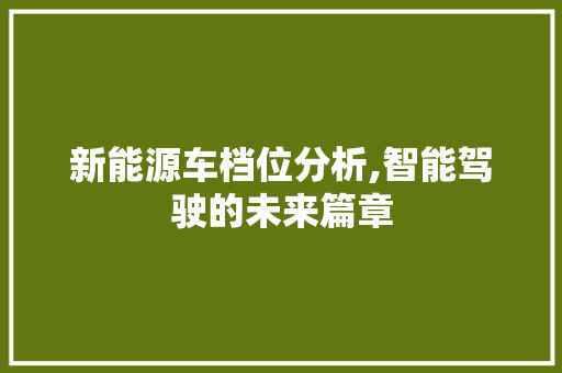 新能源车档位分析,智能驾驶的未来篇章 车型评测