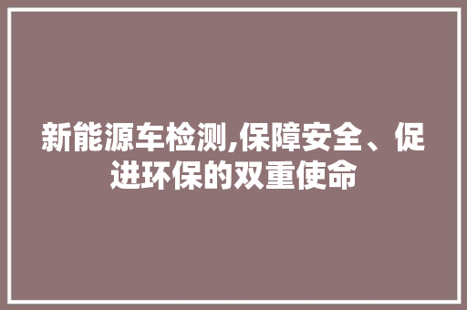 新能源车检测,保障安全、促进环保的双重使命 自动驾驶