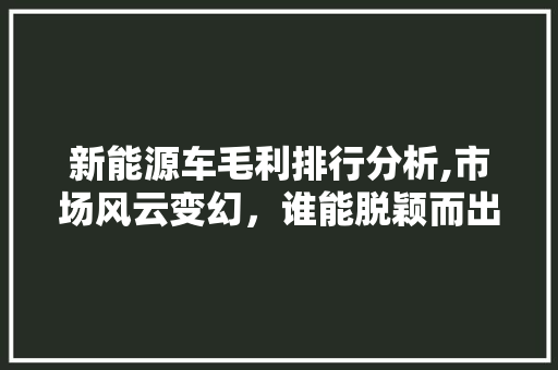 新能源车毛利排行分析,市场风云变幻，谁能脱颖而出 汽车展览