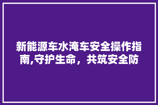 新能源车水淹车安全操作指南,守护生命，共筑安全防线 智能驾驶