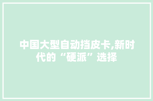 中国大型自动挡皮卡,新时代的“硬派”选择
