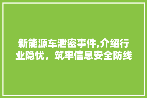 新能源车泄密事件,介绍行业隐忧，筑牢信息安全防线