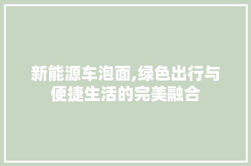 新能源车泡面,绿色出行与便捷生活的完美融合 智能驾驶