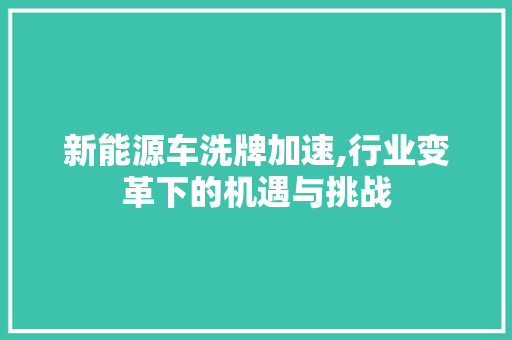 新能源车洗牌加速,行业变革下的机遇与挑战