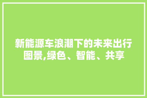 新能源车浪潮下的未来出行图景,绿色、智能、共享 车载导航