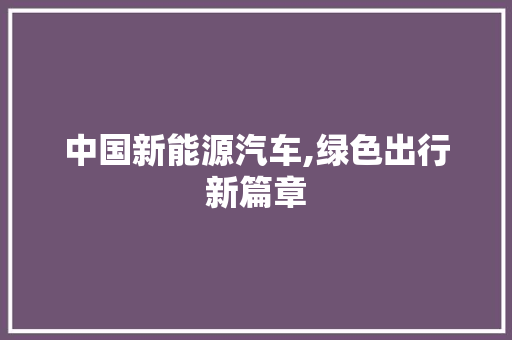 中国新能源汽车,绿色出行新篇章 新能源汽车