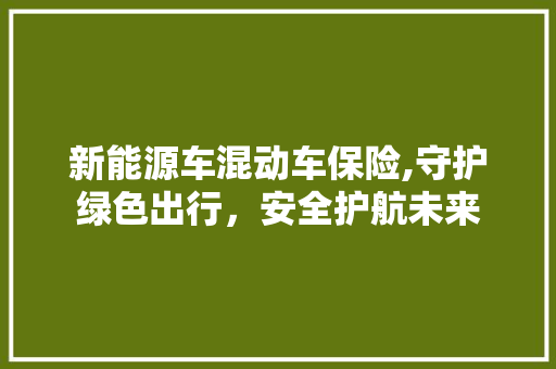 新能源车混动车保险,守护绿色出行，安全护航未来