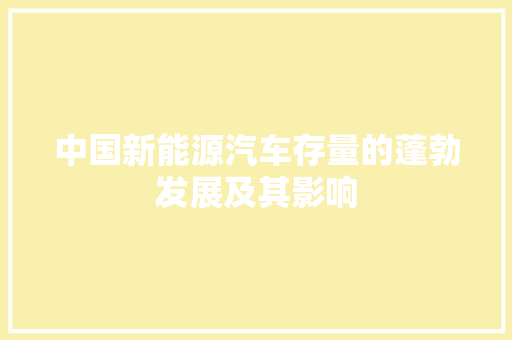中国新能源汽车存量的蓬勃发展及其影响