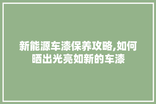 新能源车漆保养攻略,如何晒出光亮如新的车漆