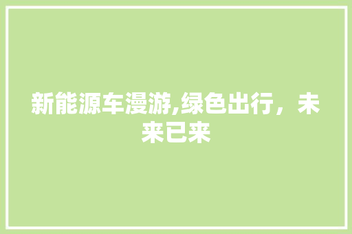 新能源车漫游,绿色出行，未来已来 汽车展览