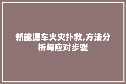 新能源车火灾扑救,方法分析与应对步骤