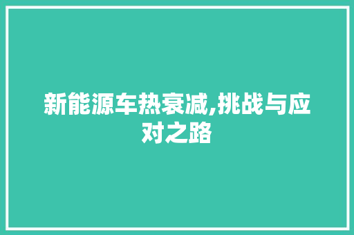 新能源车热衰减,挑战与应对之路 智能驾驶