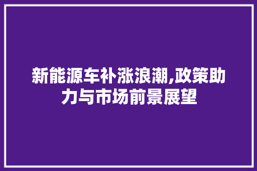 新能源车补涨浪潮,政策助力与市场前景展望 汽车展览