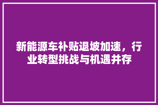 新能源车补贴退坡加速，行业转型挑战与机遇并存 自动驾驶