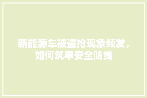 新能源车被盗抢现象频发，如何筑牢安全防线 车载导航