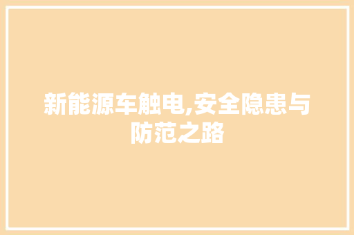 新能源车触电,安全隐患与防范之路 汽车保养