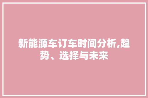 新能源车订车时间分析,趋势、选择与未来