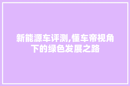 新能源车评测,懂车帝视角下的绿色发展之路 汽车轮胎