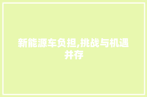 新能源车负担,挑战与机遇并存