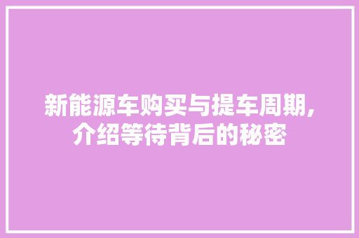 新能源车购买与提车周期,介绍等待背后的秘密 自动驾驶