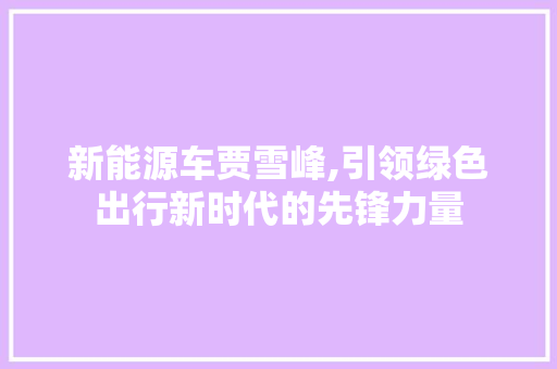 新能源车贾雪峰,引领绿色出行新时代的先锋力量