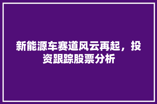 新能源车赛道风云再起，投资跟踪股票分析 新能源汽车