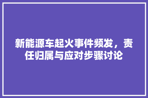 新能源车起火事件频发，责任归属与应对步骤讨论 新能源汽车