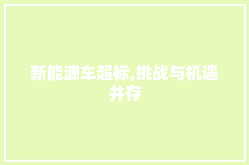 新能源车超标,挑战与机遇并存
