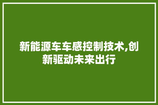 新能源车车感控制技术,创新驱动未来出行 车载导航
