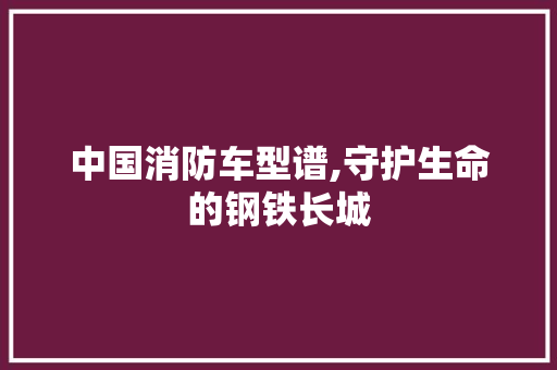 中国消防车型谱,守护生命的钢铁长城