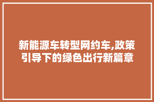 新能源车转型网约车,政策引导下的绿色出行新篇章 汽车展览