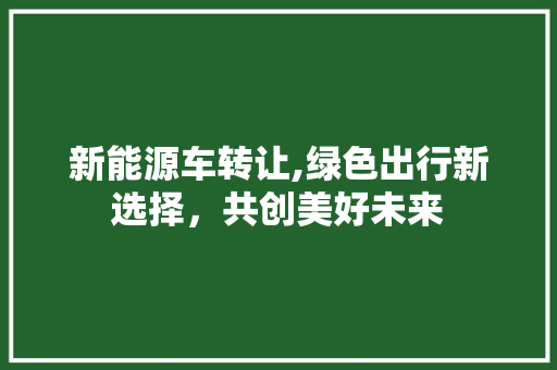 新能源车转让,绿色出行新选择，共创美好未来 自动驾驶