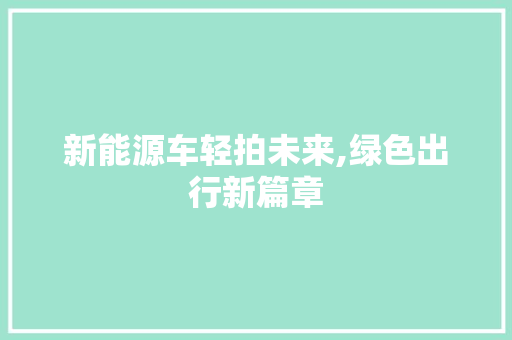 新能源车轻拍未来,绿色出行新篇章 车型评测