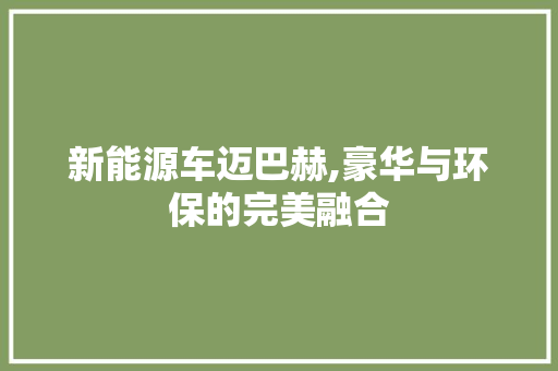 新能源车迈巴赫,豪华与环保的完美融合 汽车展览