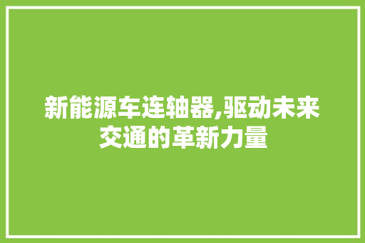 新能源车连轴器,驱动未来交通的革新力量