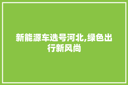 新能源车选号河北,绿色出行新风尚