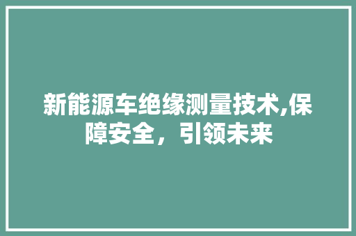 新能源车绝缘测量技术,保障安全，引领未来 车载导航