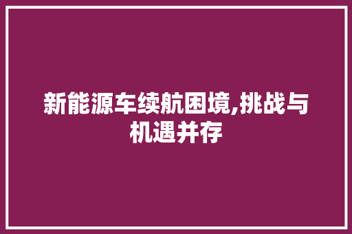 新能源车续航困境,挑战与机遇并存 车载导航