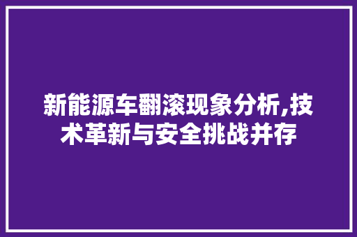 新能源车翻滚现象分析,技术革新与安全挑战并存 汽车展览