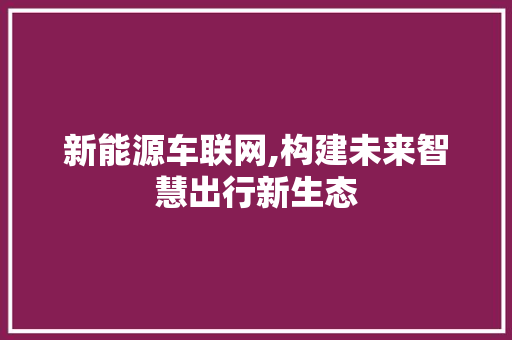 新能源车联网,构建未来智慧出行新生态