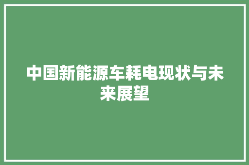 中国新能源车耗电现状与未来展望
