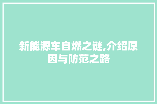新能源车自燃之谜,介绍原因与防范之路 混合动力车