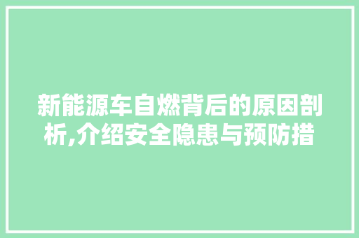 新能源车自燃背后的原因剖析,介绍安全隐患与预防措施 汽车展览