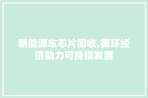 新能源车芯片回收,循环经济助力可持续发展 车载导航
