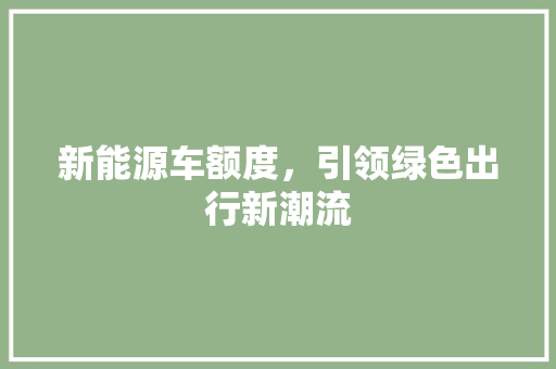 新能源车额度，引领绿色出行新潮流